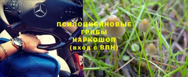 трава Алексеевка