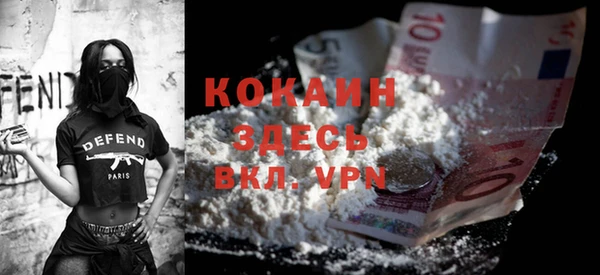твердый Алзамай